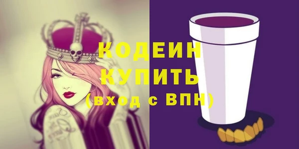 ПСИЛОЦИБИНОВЫЕ ГРИБЫ Ельня