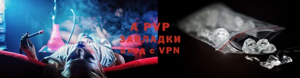 амф Магас