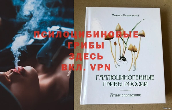 тгк Липки