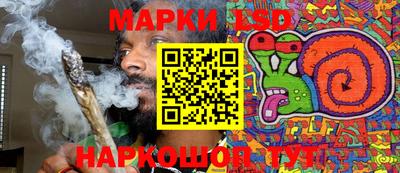 гидропоника Берёзовский