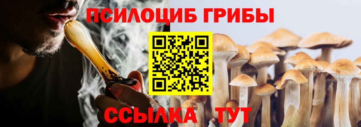 Галлюциногенные грибы прущие грибы  Зеленокумск  Галлюциногенные грибы прущие грибы 