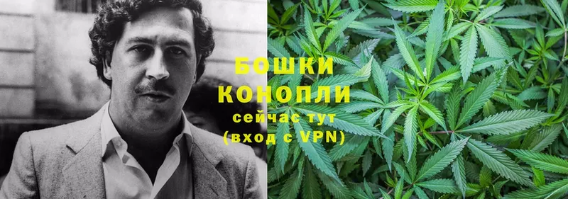 наркота  Зеленокумск  Бошки Шишки SATIVA & INDICA 